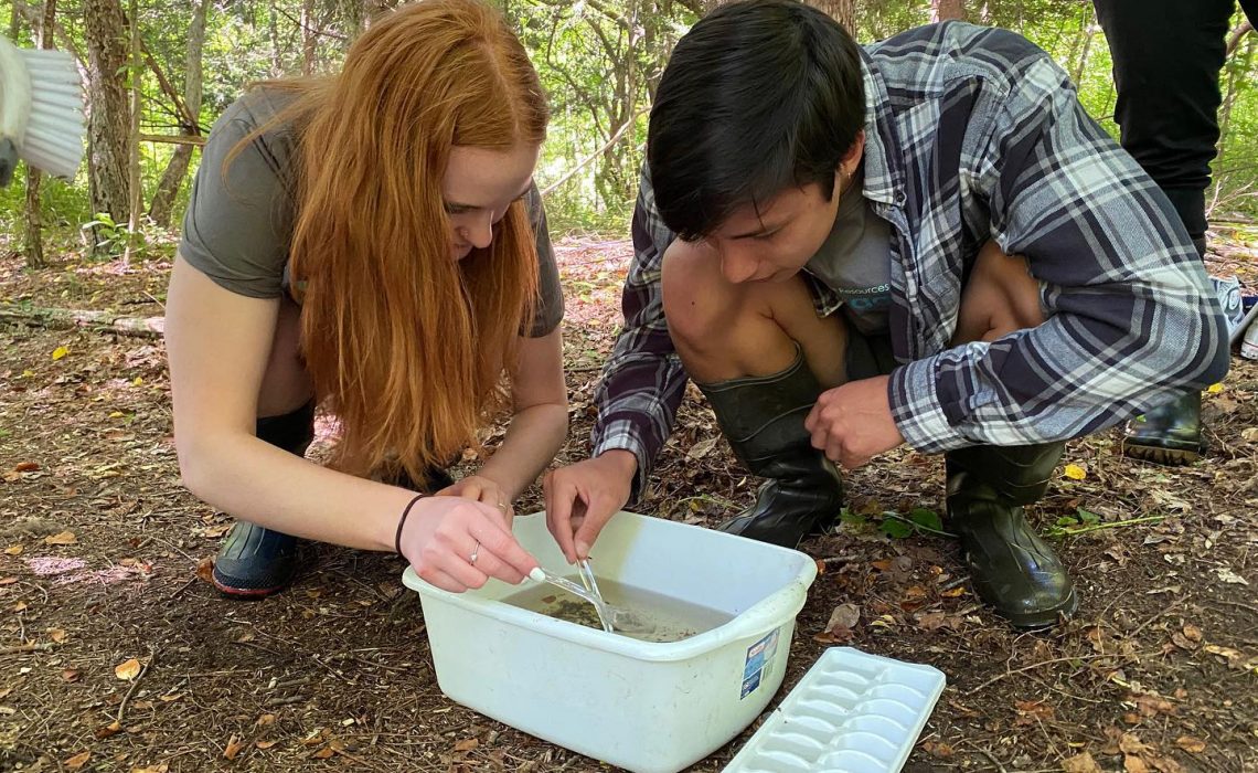 214170316_4070969706319981_7700469219180826709_n