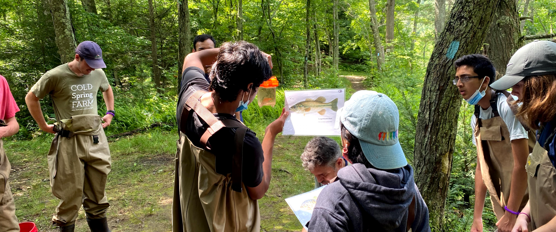 looking at fish