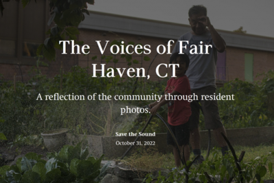 screenshot of voices of fair haven storymap