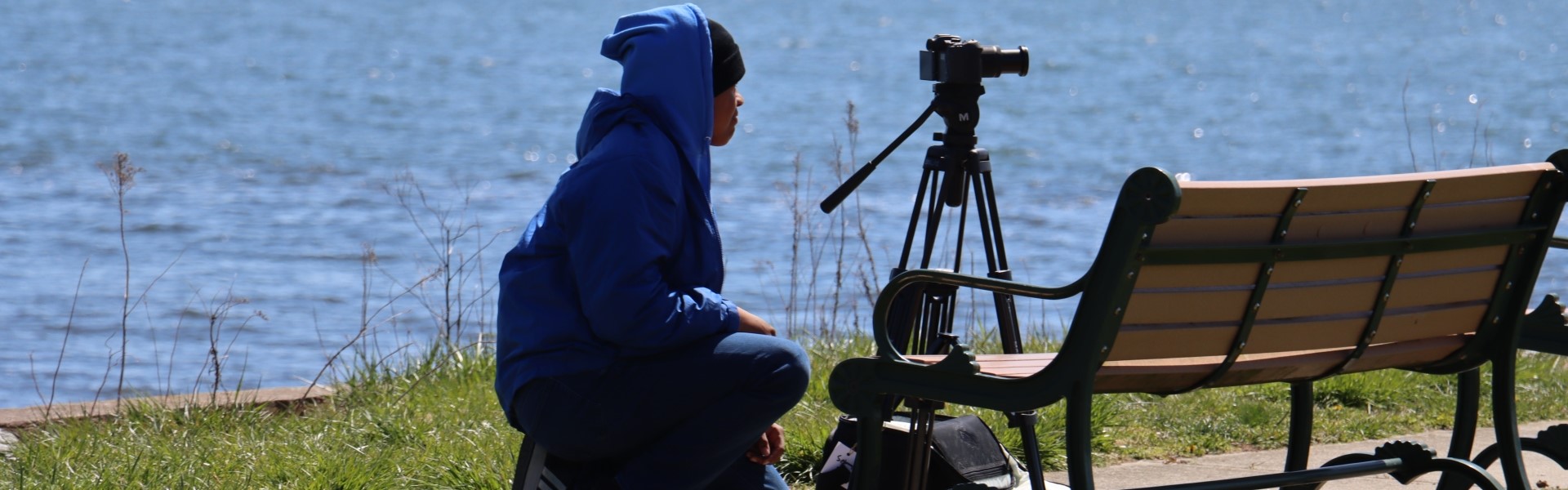 EDS banner 4 jungle trees